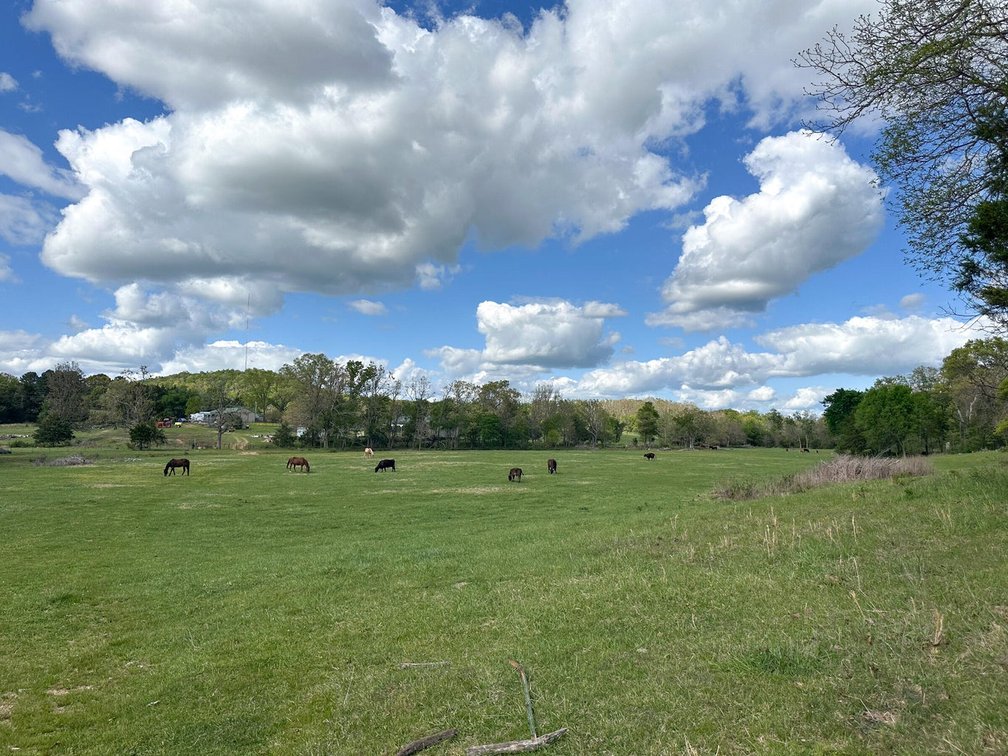 Image for Howell County Real Estate Auction