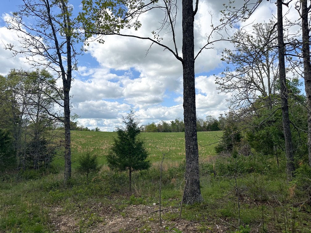 Image for Howell County Real Estate Auction