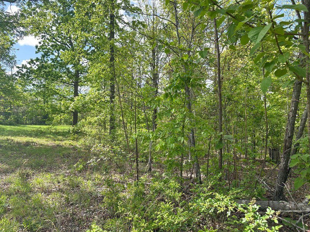 Image for Howell County Real Estate Auction