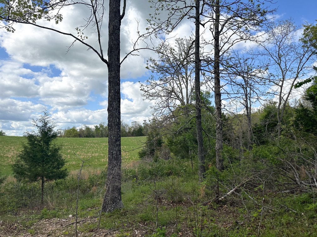 Image for Howell County Real Estate Auction