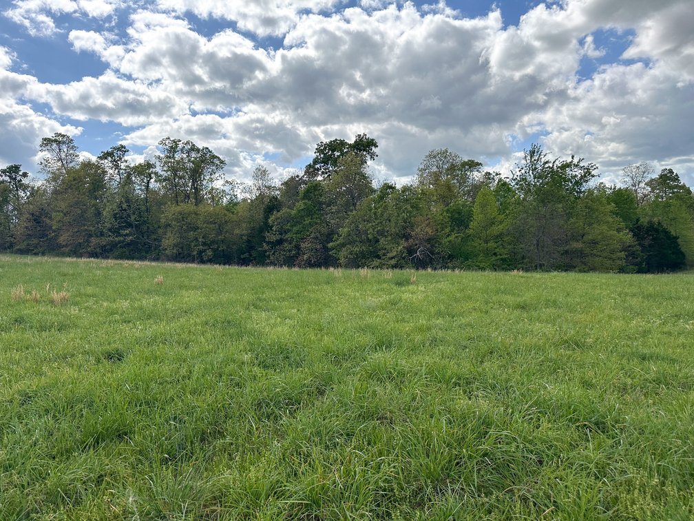 Image for Howell County Real Estate Auction