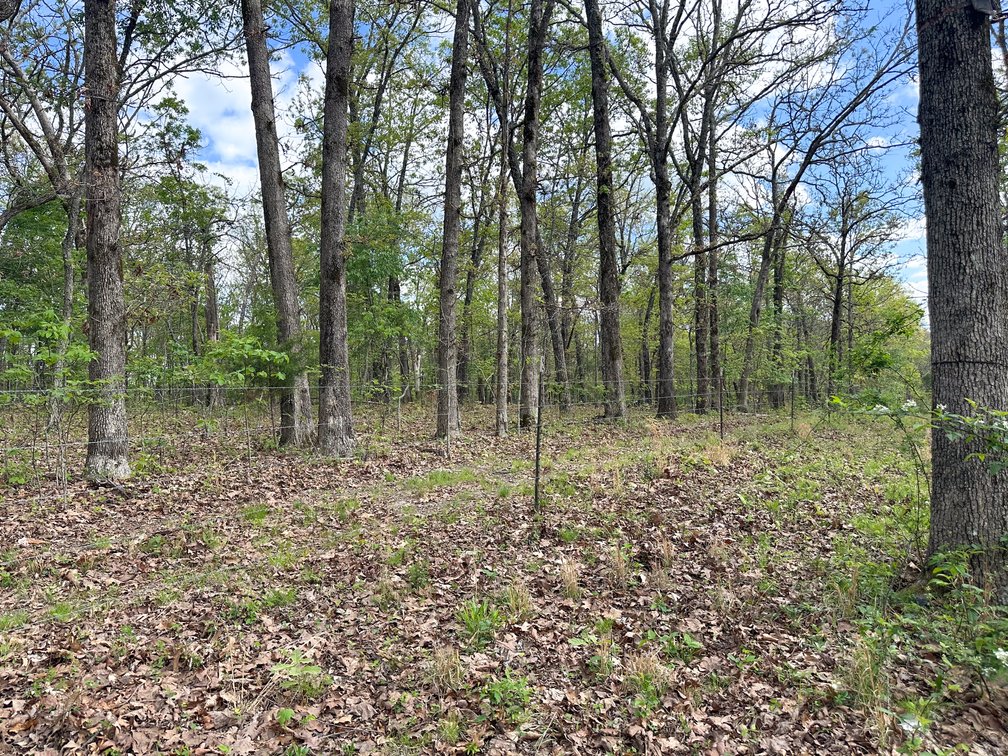 Image for Howell County Real Estate Auction