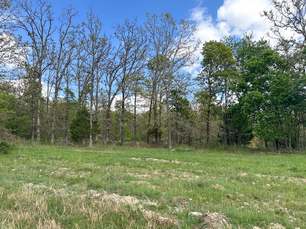 Image for Howell County Real Estate Auction