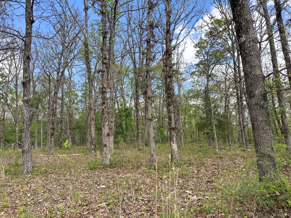 Image for Howell County Real Estate Auction