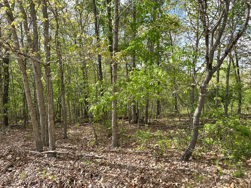 Image for Howell County Real Estate Auction