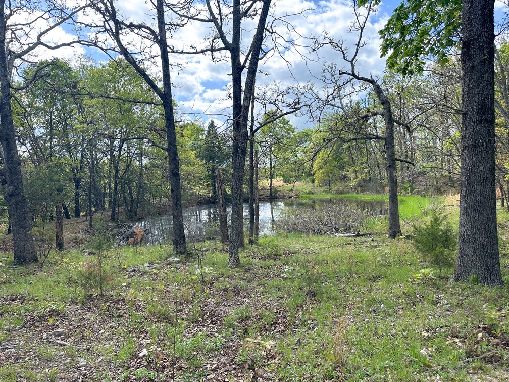 Image for Howell County Real Estate Auction