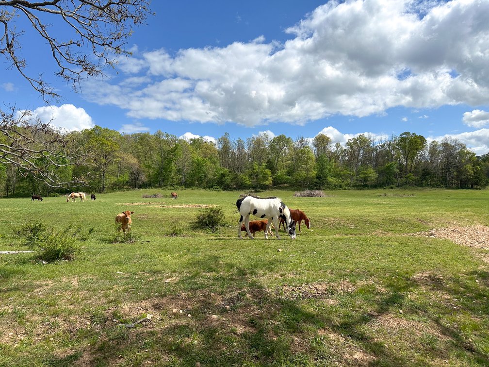 Image for Howell County Real Estate Auction