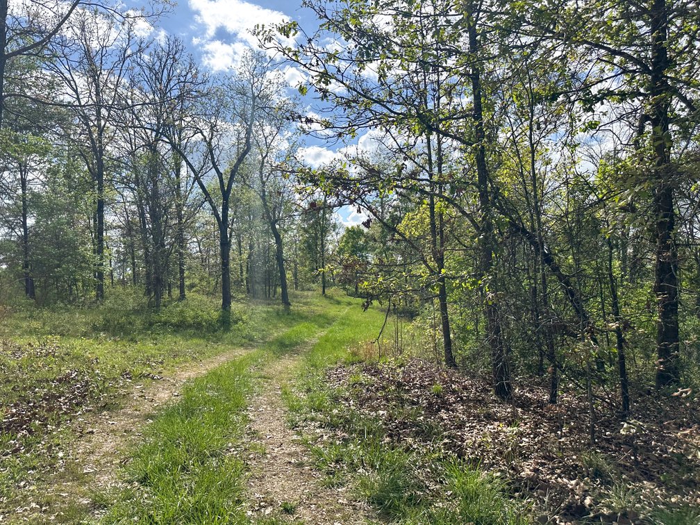 Image for Howell County Real Estate Auction