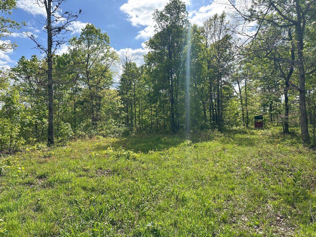 Image for Howell County Real Estate Auction