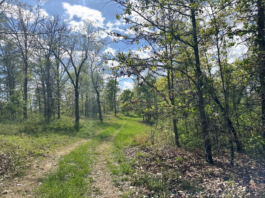Image for Howell County Real Estate Auction