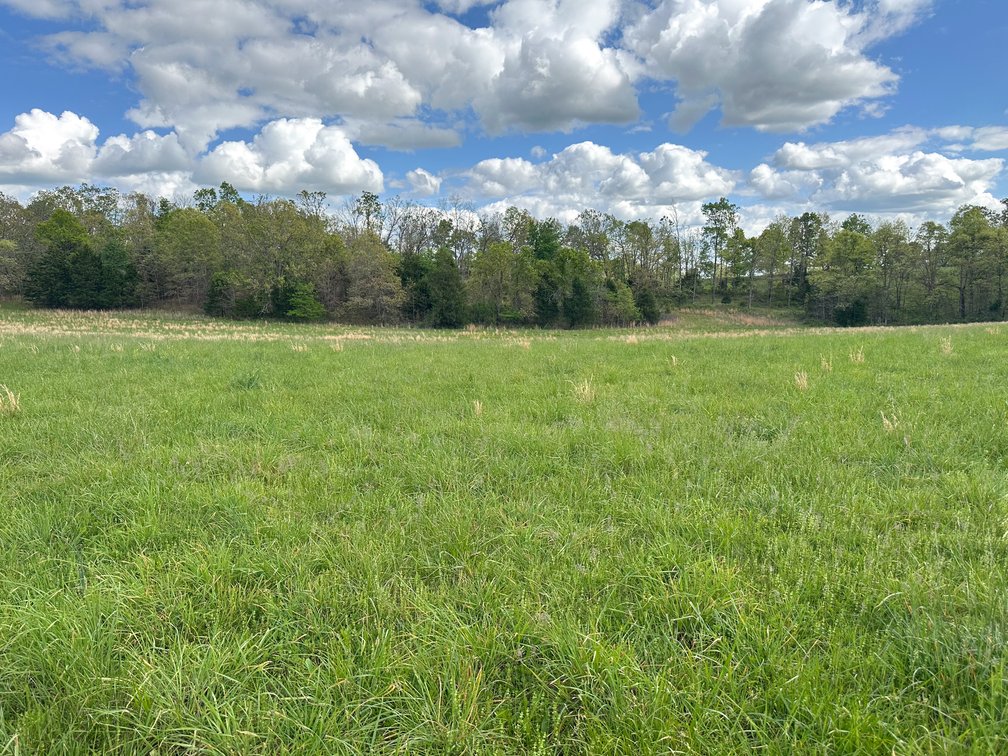 Image for Howell County Real Estate Auction