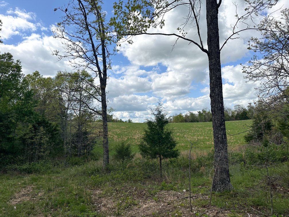 Image for Howell County Real Estate Auction