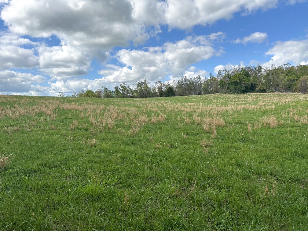 Image for Howell County Real Estate Auction