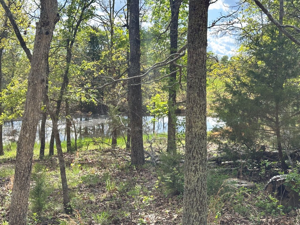 Image for Howell County Real Estate Auction