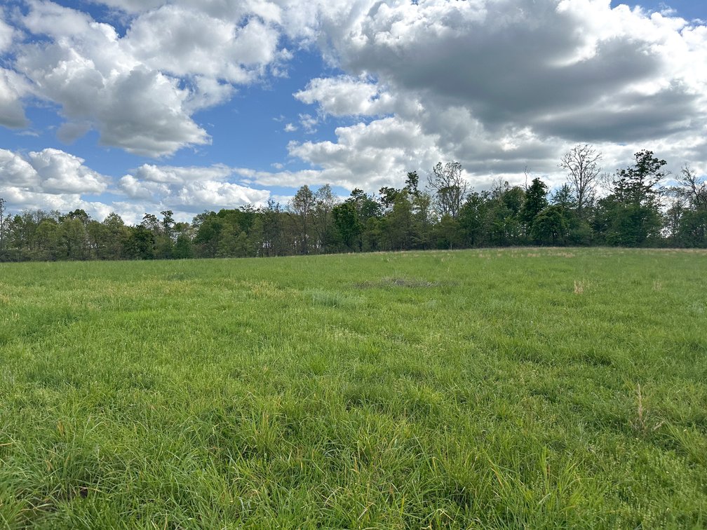 Image for Howell County Real Estate Auction