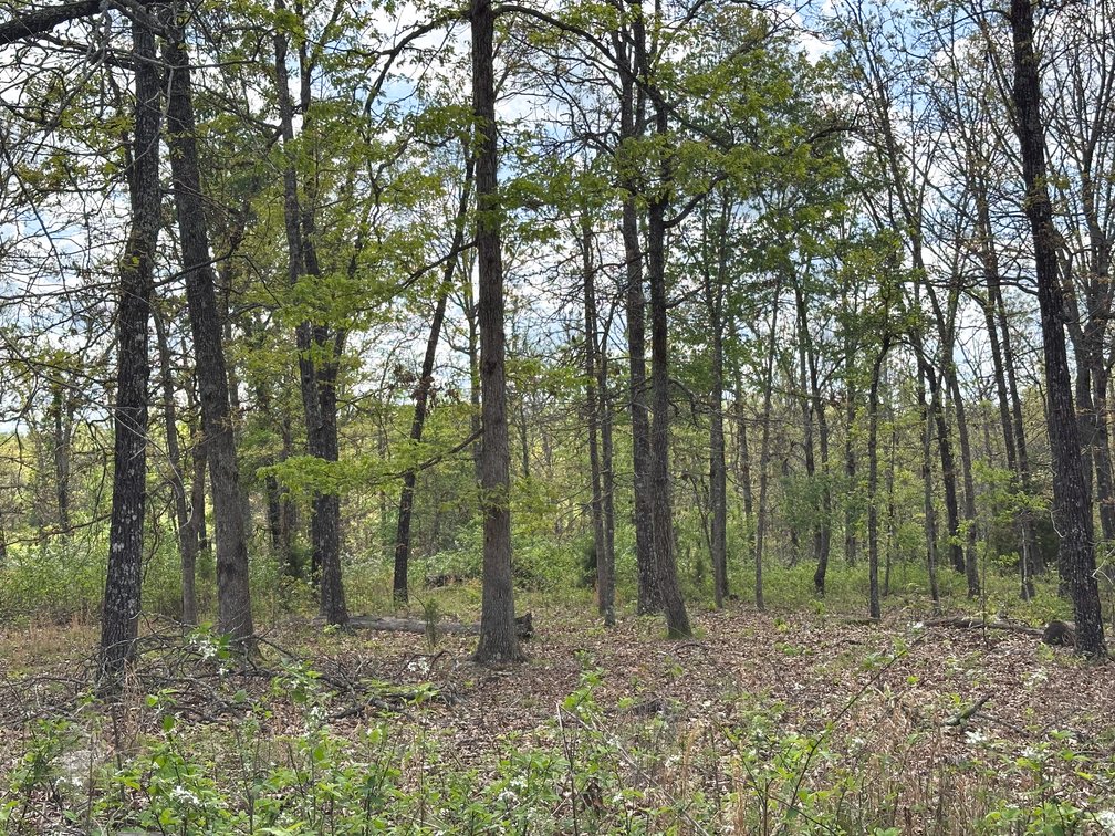 Image for Howell County Real Estate Auction
