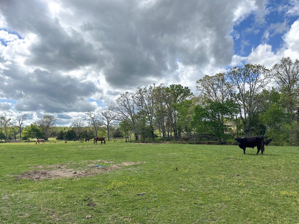 Image for Howell County Real Estate Auction