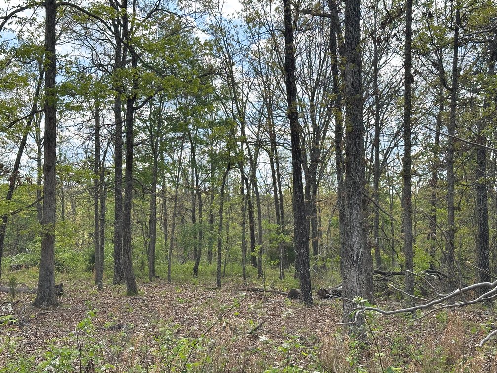 Image for Howell County Real Estate Auction