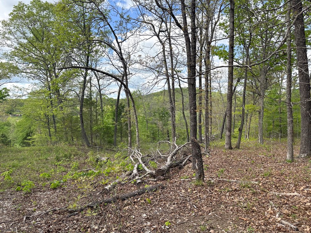 Image for Howell County Real Estate Auction