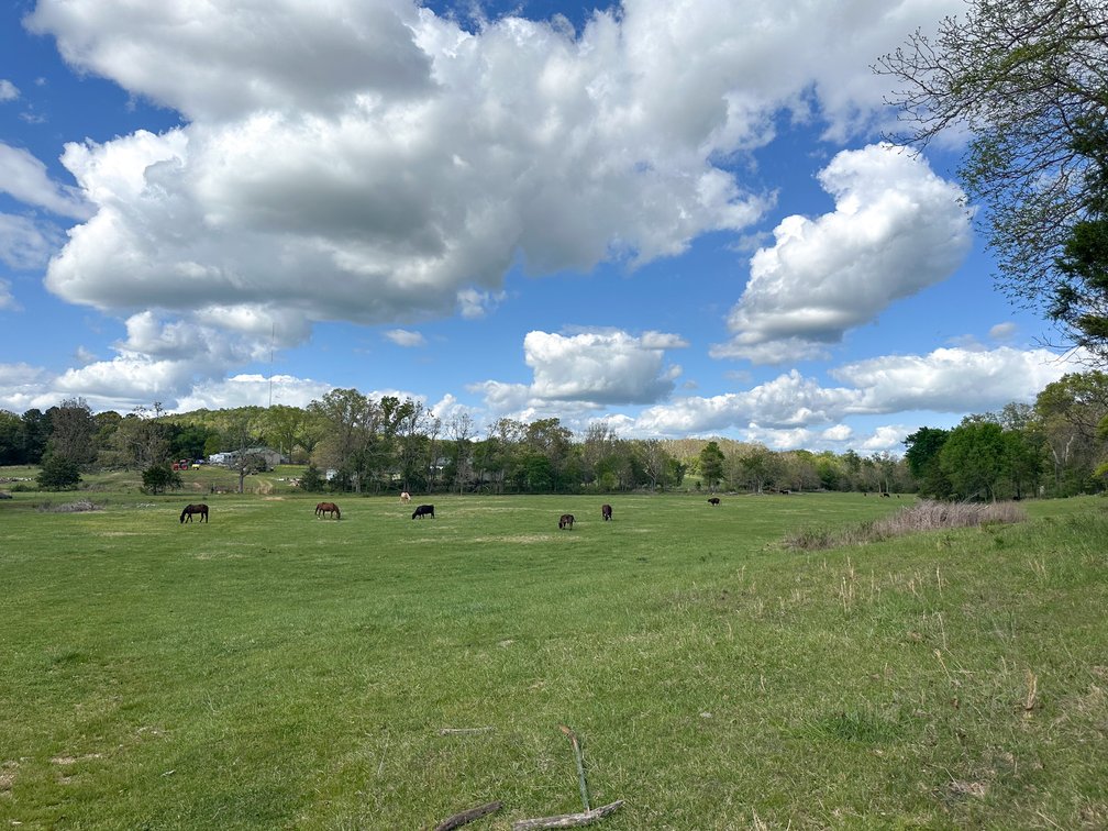 Image for Howell County Real Estate Auction