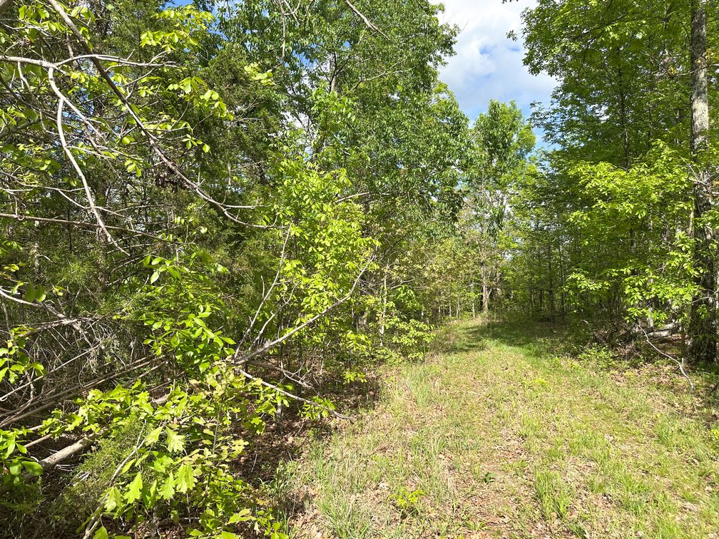 Image for Howell County Real Estate Auction