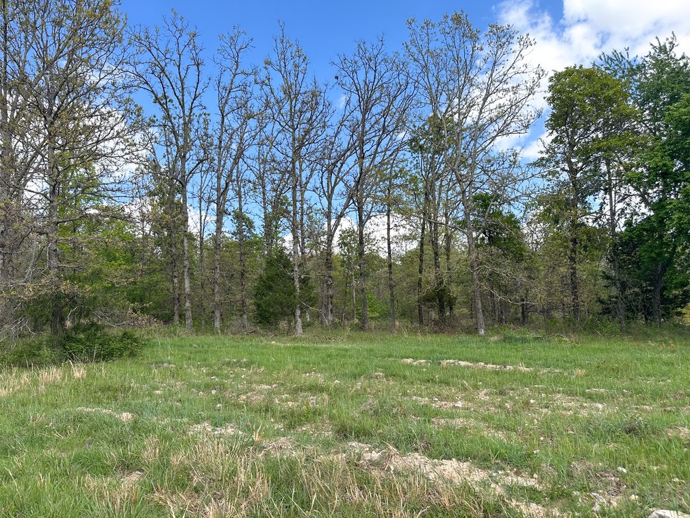 Image for Howell County Real Estate Auction