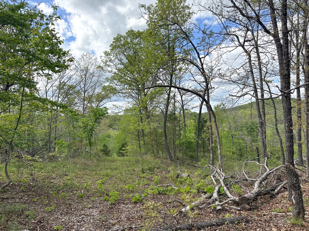 Image for Howell County Real Estate Auction