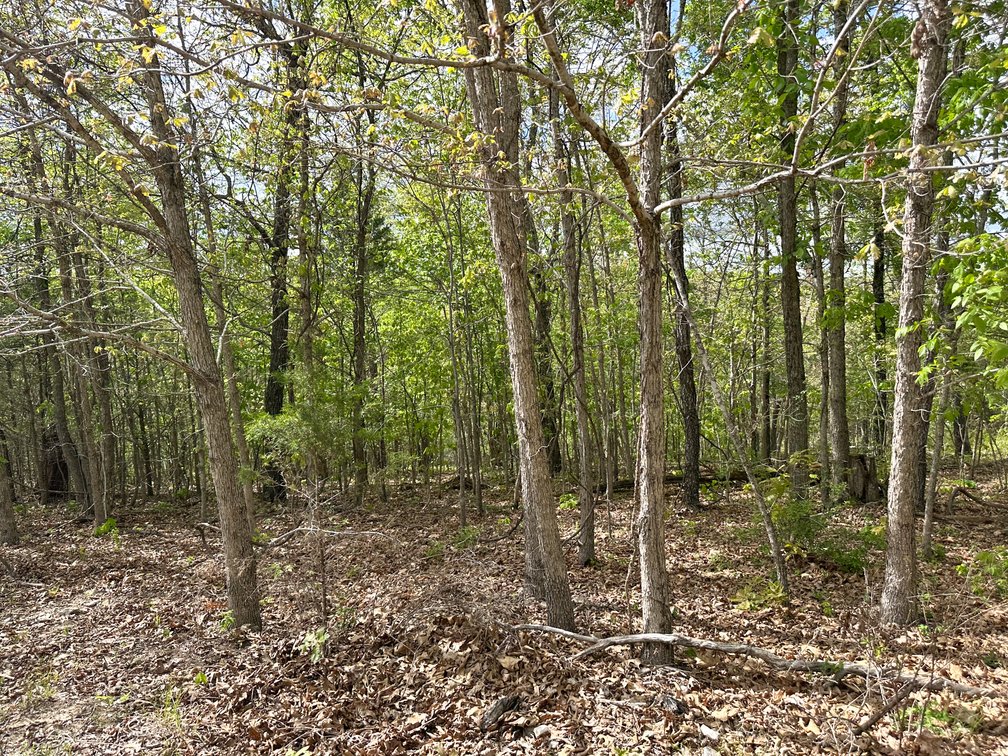 Image for Howell County Real Estate Auction