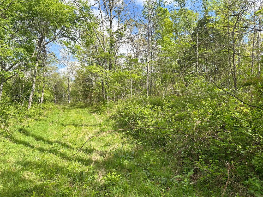 Image for Howell County Real Estate Auction