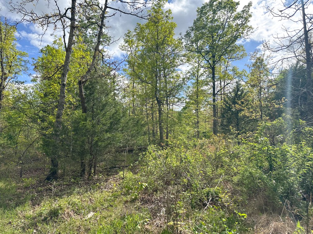 Image for Howell County Real Estate Auction