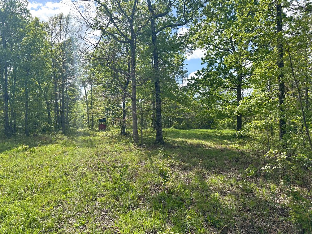 Image for Howell County Real Estate Auction