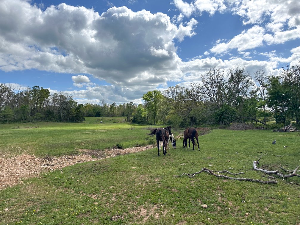 Image for Howell County Real Estate Auction