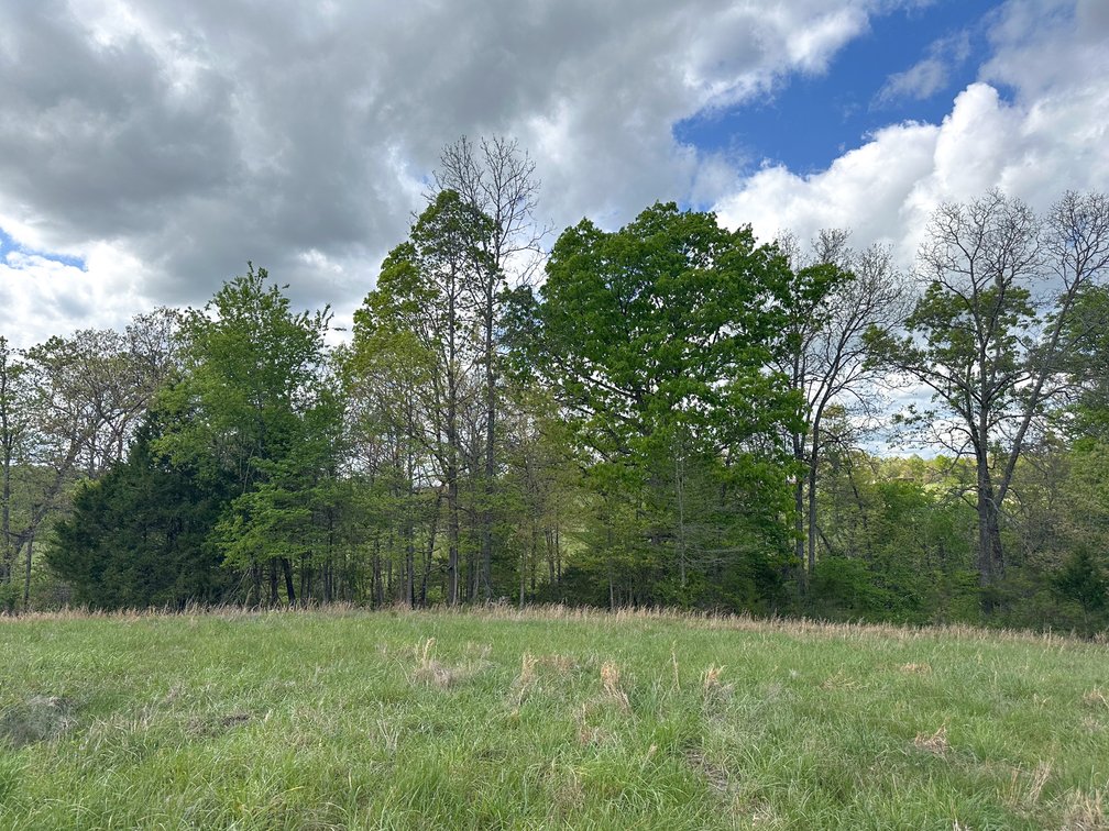 Image for Howell County Real Estate Auction