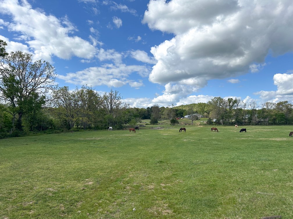 Image for Howell County Real Estate Auction