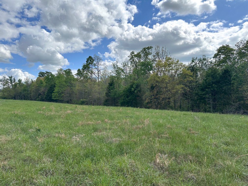 Image for Howell County Real Estate Auction