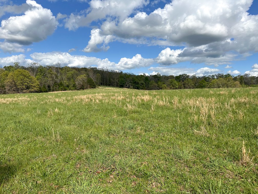 Image for Howell County Real Estate Auction