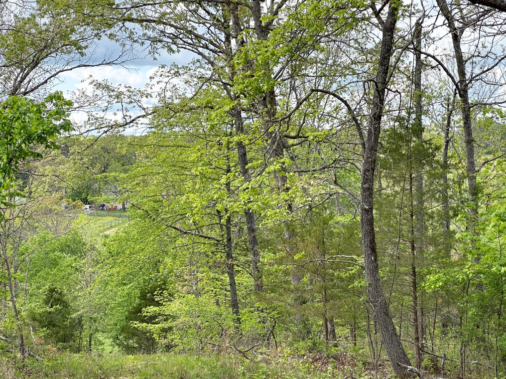 Image for Howell County Real Estate Auction