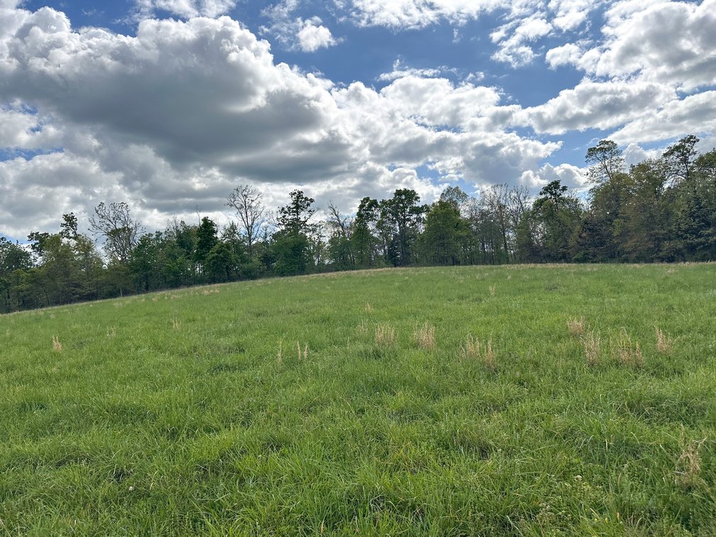Image for Howell County Real Estate Auction