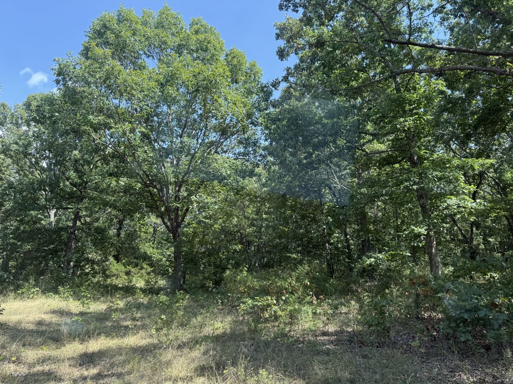 Image for Texas County Real Estate Auction