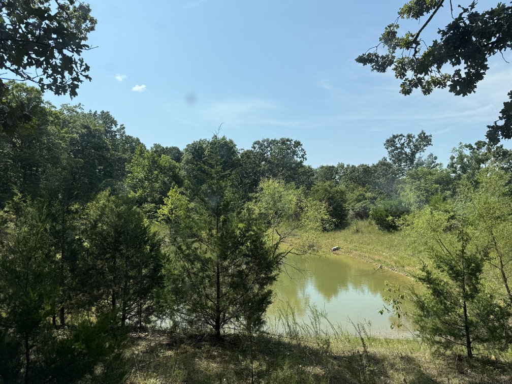 Image for Texas County Real Estate Auction