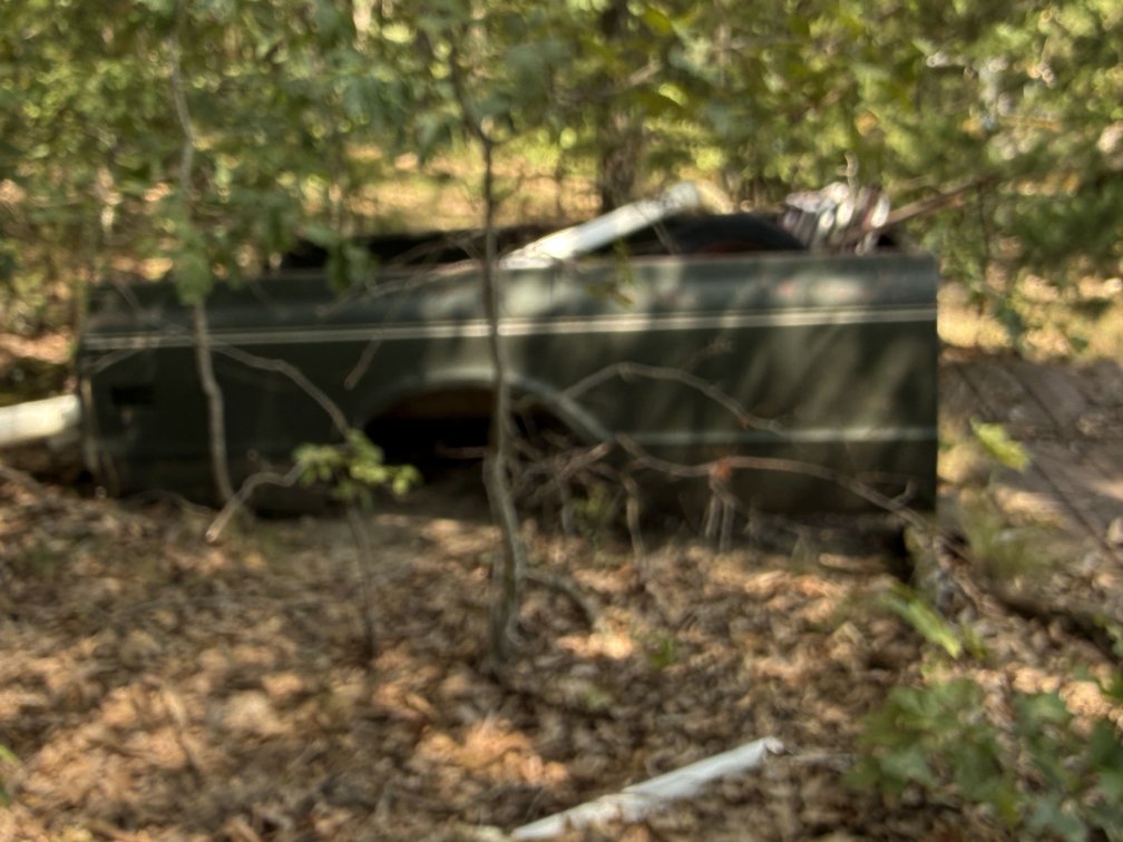 Image for Texas County Real Estate Auction