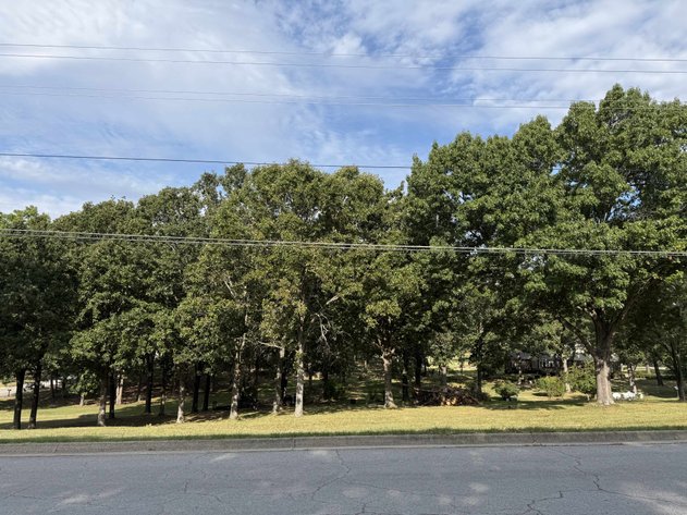 Image for Real Estate Lots Auction