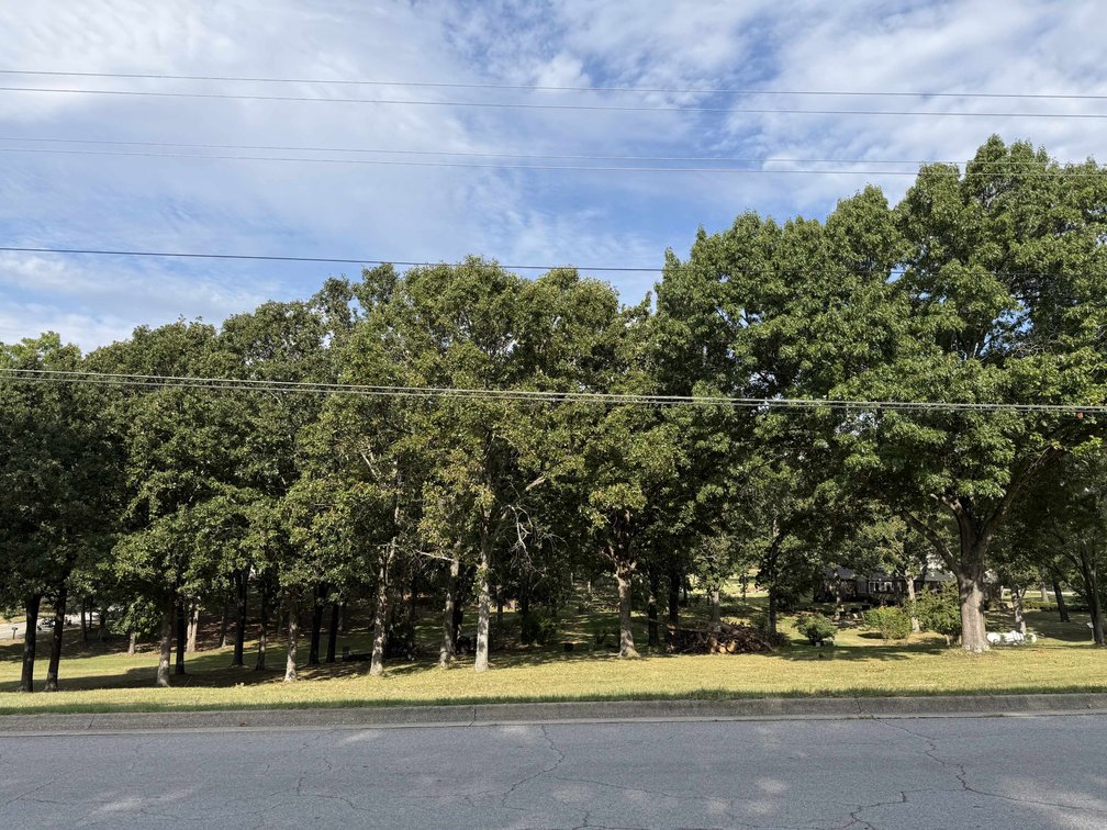Image for Real Estate Lots Auction