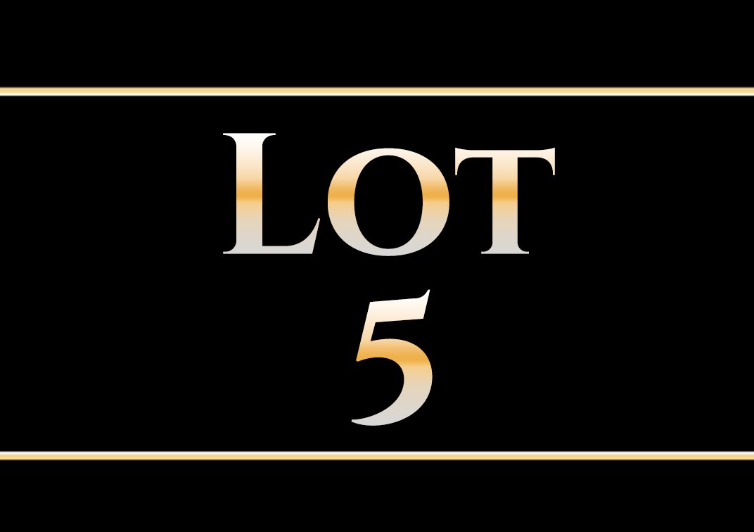 Lot 5