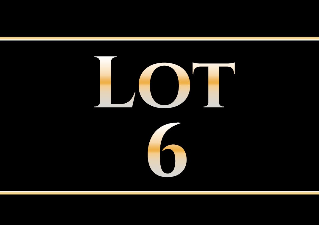 Lot 6