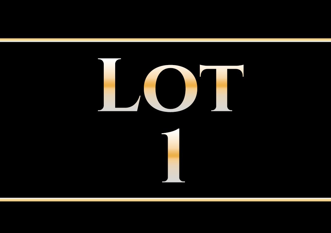 Image for Real Estate Lots Auction