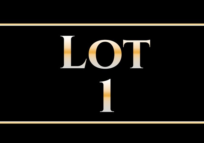 Image for Real Estate Lots Auction