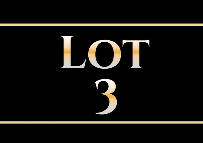Image for Real Estate Lots Auction