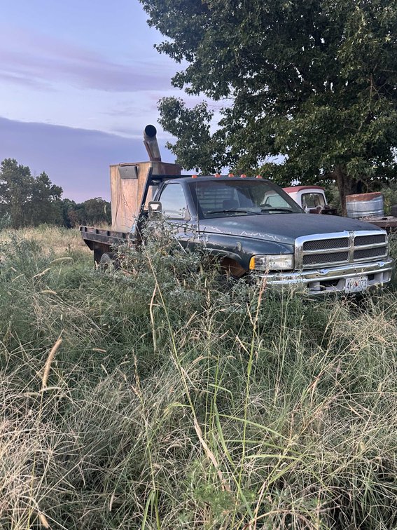 Image for Complete Farm Dispersal