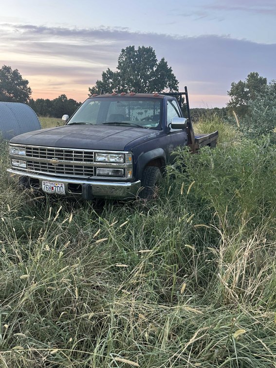 Image for Complete Farm Dispersal